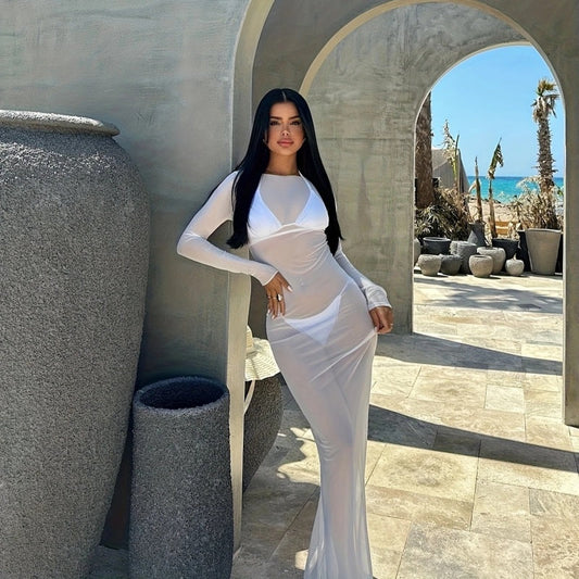 Sheer Mesh Cover-Up Dress — VELLISSE